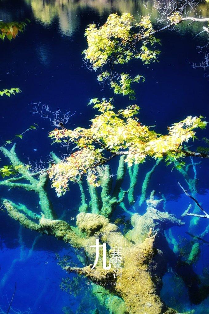 2户5人提前转移！岳阳市平江县成功避让一起滑坡地质灾害